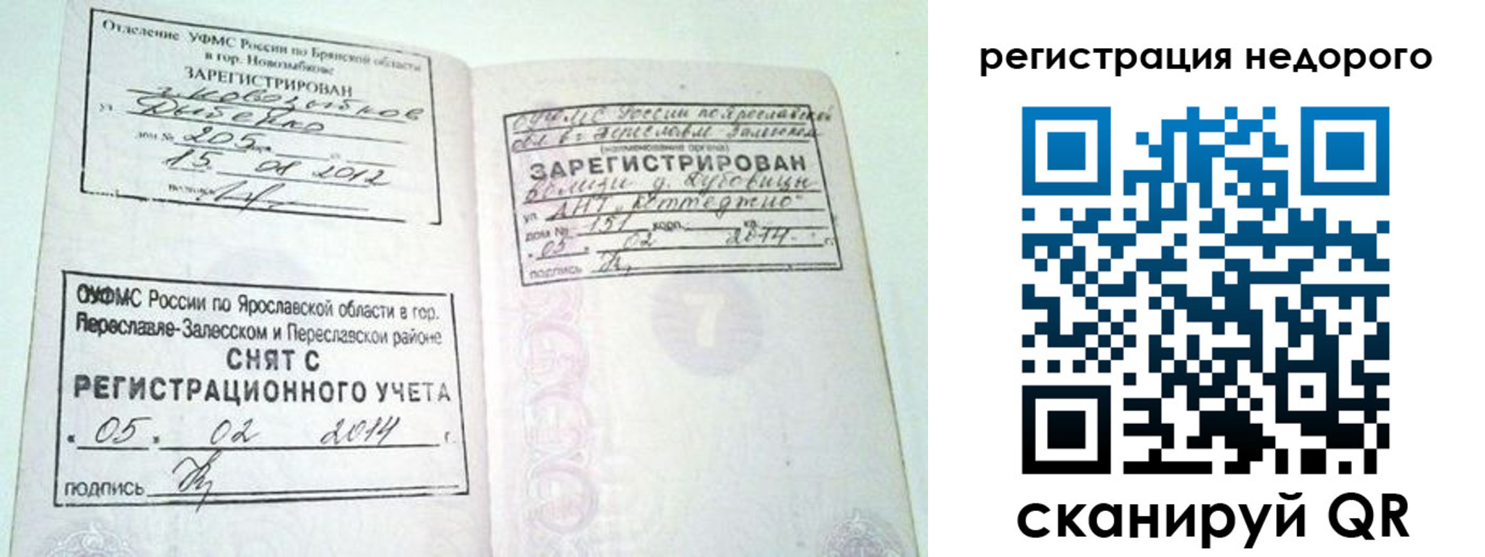 прописка поиск в Клинцах